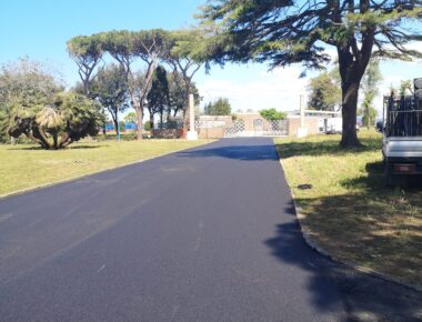 Strada asfaltata con alberi e cielo sereno.