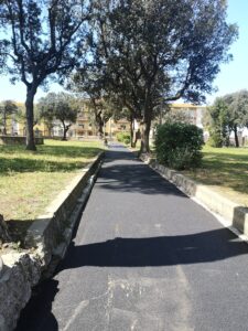 Sentiero asfaltato tra alberi in un parco cittadino.