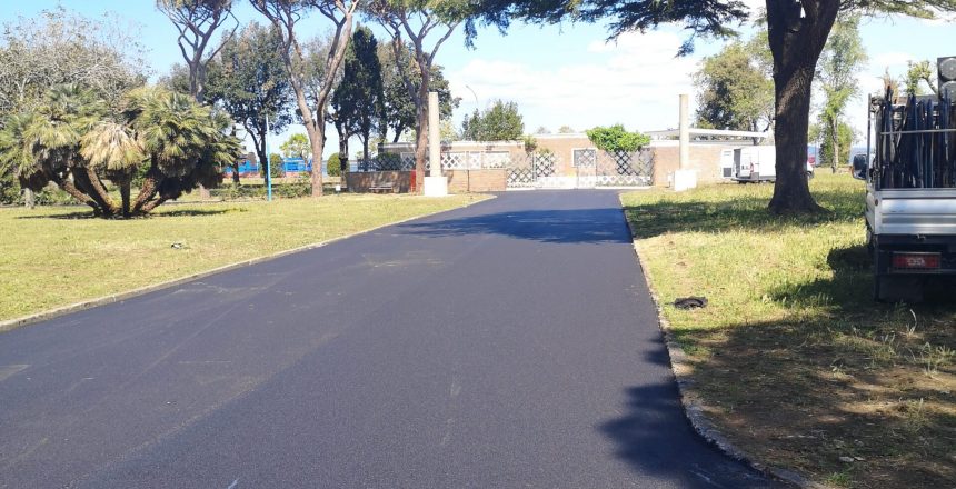 Strada asfaltata con alberi e cielo sereno.